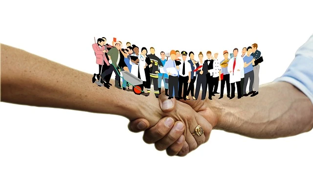 Nouveaux collaborateurs